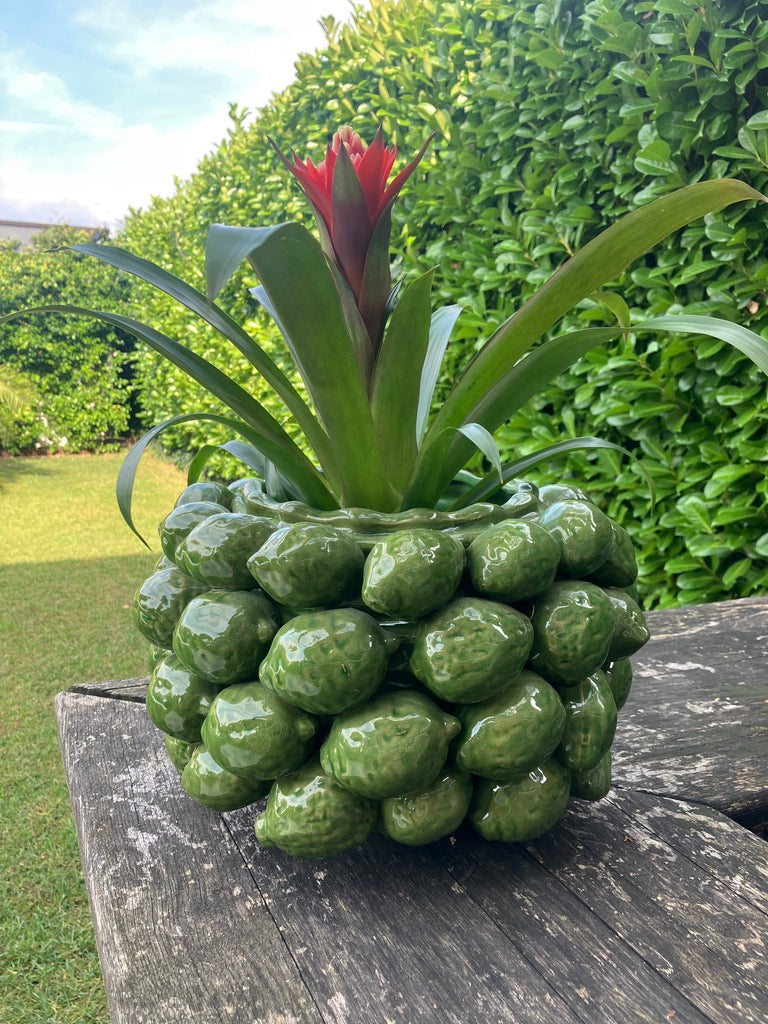 Lemon vase decorated with green lemons or limes - ceramic H 8" Ø 12"