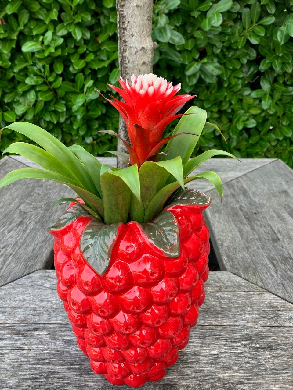 Designer vase in the shape of a raspberry - glazed ceramic H 13" Ø 10" red