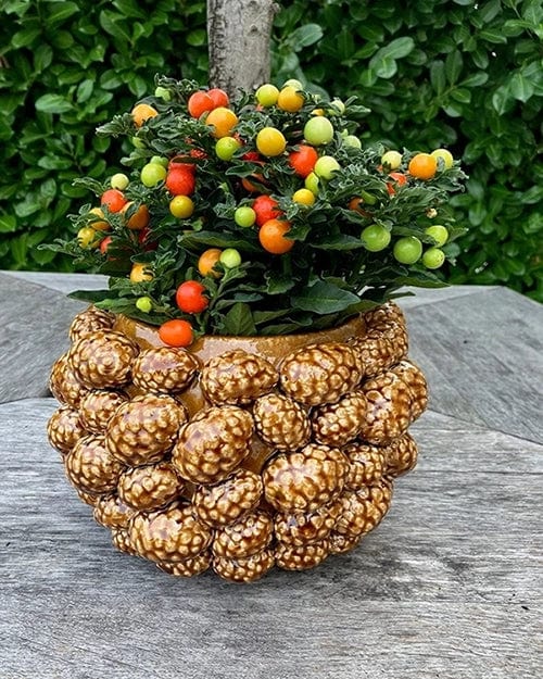 Italian Designer vase with pine cones - glazed ceramic H 7.1" Ø 9,4"