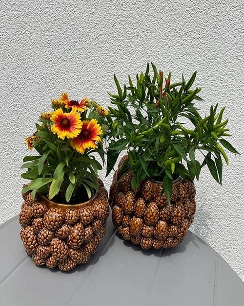 Italian Designer vase with pine cones - glazed ceramic H 7.1" Ø 9,4"