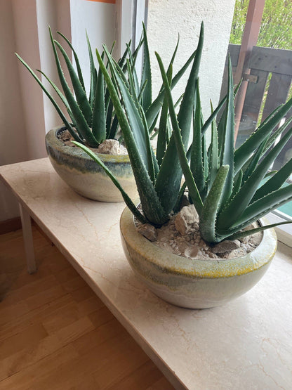 Mediterranean planter H 6.6" Ø 12.9" - glazed ceramic frost-proof