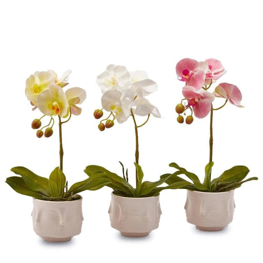 Lifelike orchids H 15.7" in 3 colors in a vase - no more watering!