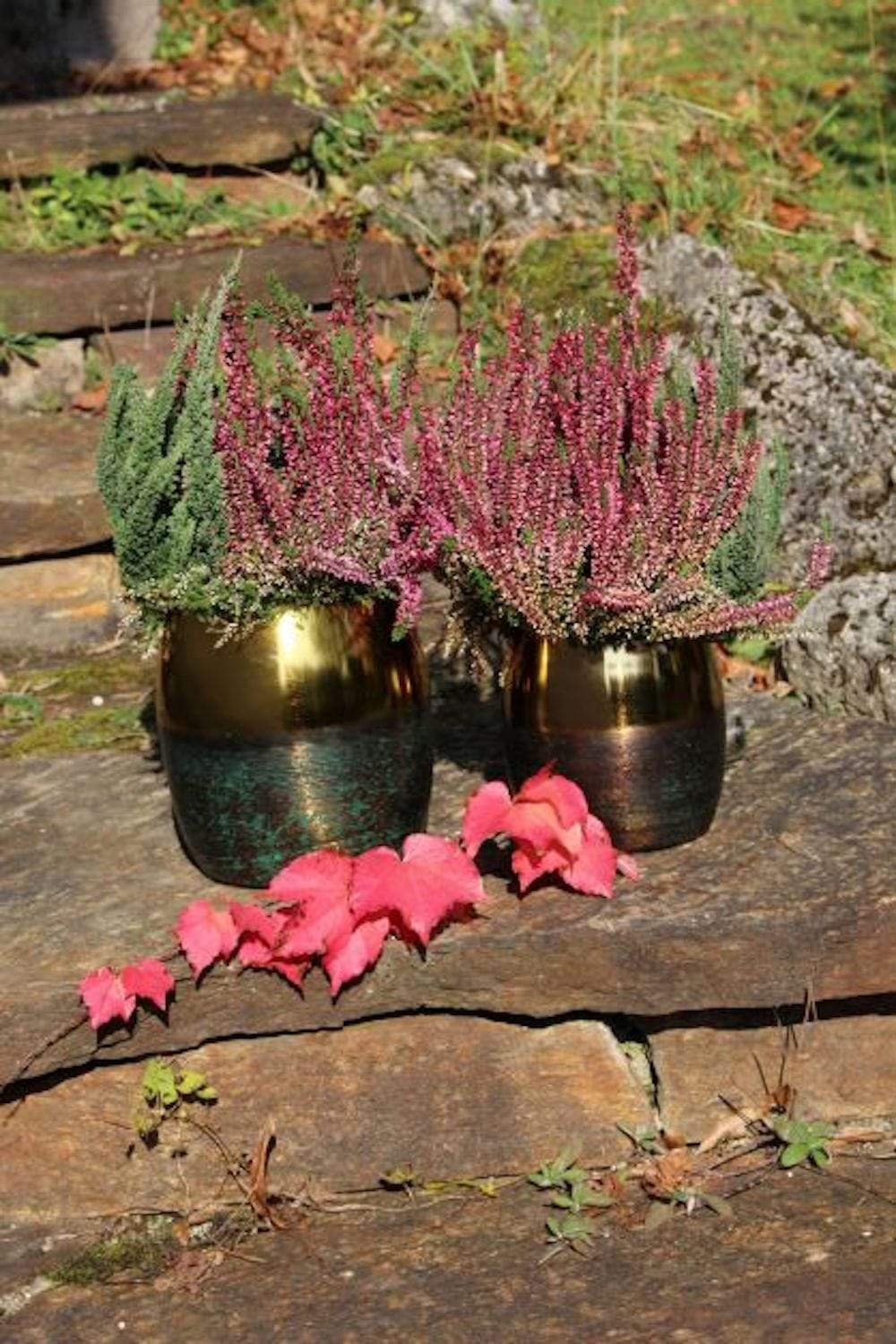 Metal planter in earth tones with wide gold rim Height 7.8" Ø 7.8"